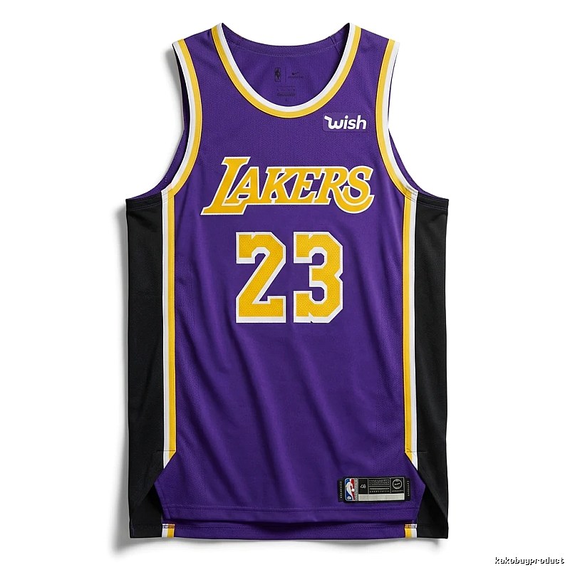 LBJ Lakers retro purple jersey